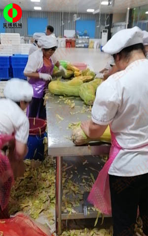工程售后團(tuán)隊(duì)現(xiàn)場(chǎng)考察江西客戶生產(chǎn)現(xiàn)場(chǎng),提供整套瓜果加工設(shè)備方案！