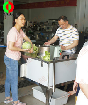 蔬果分瓣機(jī)現(xiàn)場測試，客戶滿意切割效果！