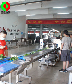 枕式蔬果包裝生產(chǎn)線,客戶現(xiàn)場測試驗收！