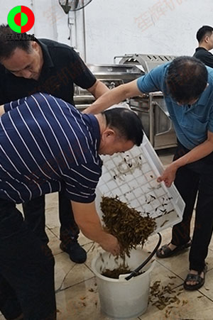 客戶(hù)來(lái)廠(chǎng)測(cè)試驗(yàn)貨果蔬清洗加工設(shè)備！